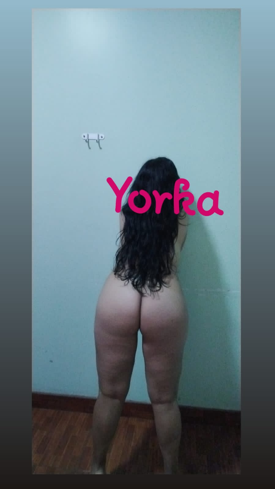 YORKA